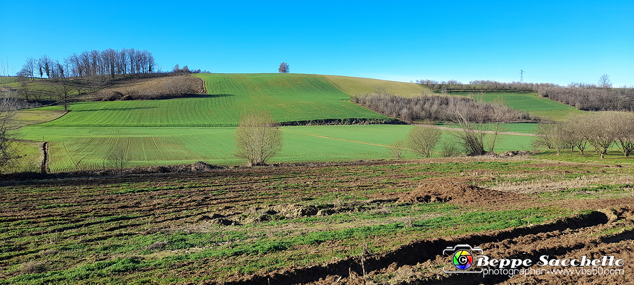 20230110_143639 - Dalla terra... il grano.jpg